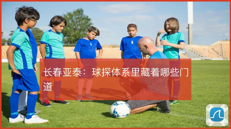 长春亚泰:球探体系里藏着哪些门道