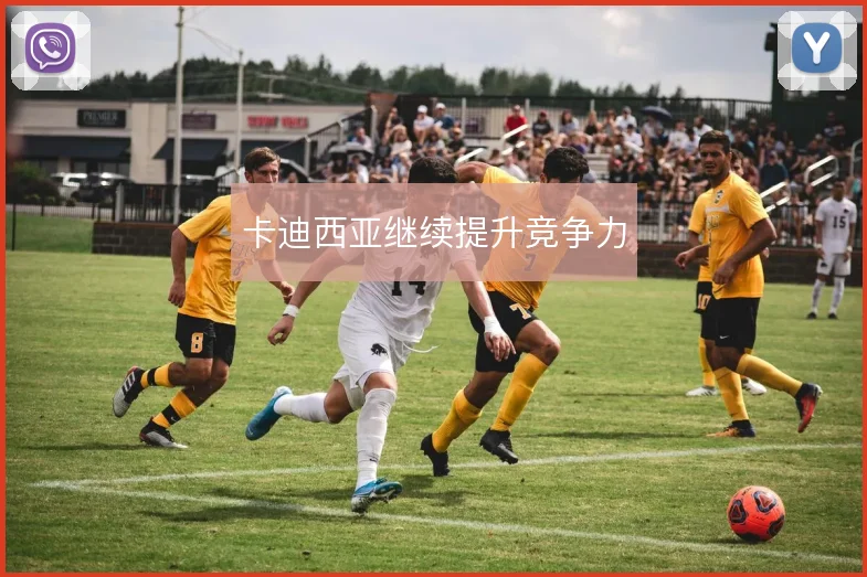 卡迪西亚继续提升竞争力