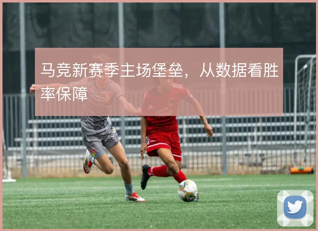 马竞新赛季主场堡垒，从数据看胜率保障